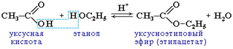 Химические свойства предельных одноосновных карбоновых кислот