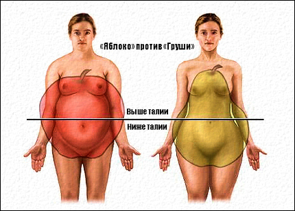 Ешь и худей, или диета для фигуры «перевернутый треугольник»: питание и упражнения