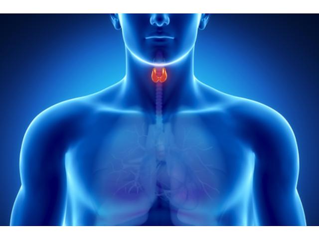 Зоб щитовидной железы. причины, симптомы, диагностика и лечение зоба