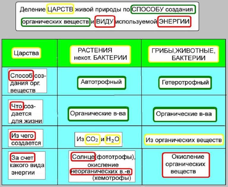 Обмен веществ автотрофов и гетеротрофов