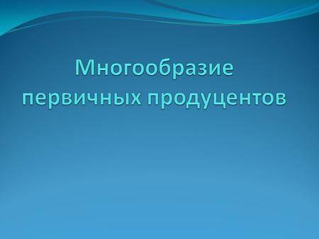 Бактерии автотрофы характеризуются тем что. 27bf1323e41792d22c2bfb752fc1e5d2. Бактерии автотрофы характеризуются тем что фото. Бактерии автотрофы характеризуются тем что-27bf1323e41792d22c2bfb752fc1e5d2. картинка Бактерии автотрофы характеризуются тем что. картинка 27bf1323e41792d22c2bfb752fc1e5d2.