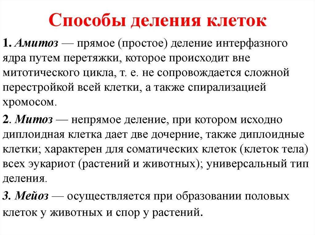 Способы деления клетки. Способы деления клетки амитоз. Митоз и амитоз кратко. Типы деления клеток амитоз. Амитоз это прямое деление ядра при котором.