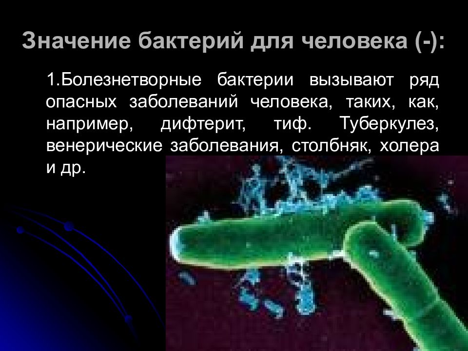 Болезнетворные бактерии презентация