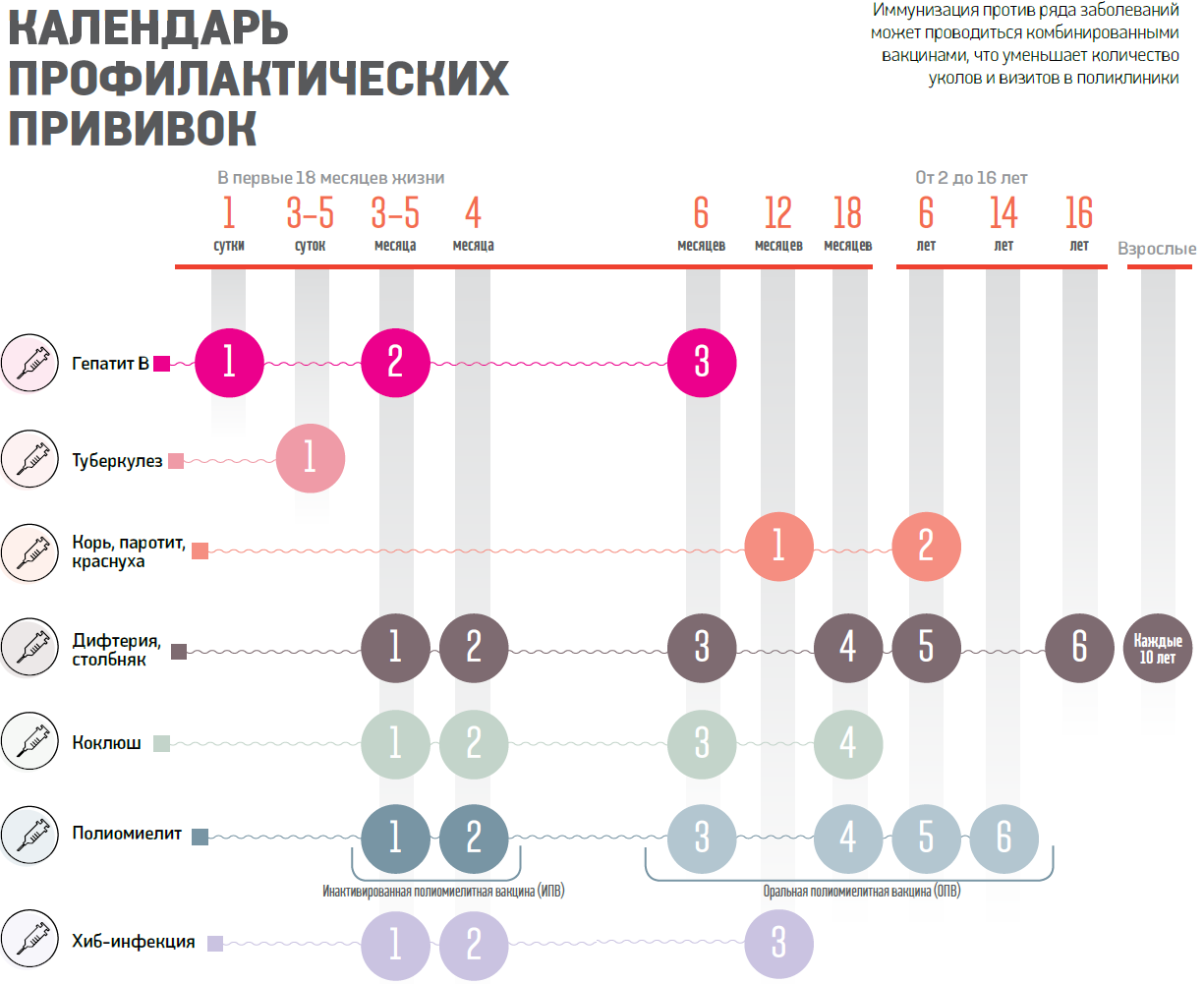 Прививки после 40 лет. График прививок для людей. Календарь прививок для взрослых. График прививок для всех взрослых. Прививки для взрослого человека.