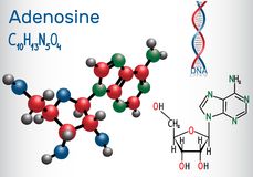 Аденозиндезаминаза - adenosine deaminase - qwe.wiki