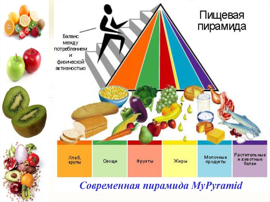 Схематическое изображение принципов здорового питания