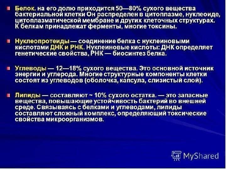 Белок бактерий. Углеводы микробной клетки. Основной запасной углевод у бактерий. Устойчивость микроорганизмов во внешней среде. Углеводы в бактериальной клетке.