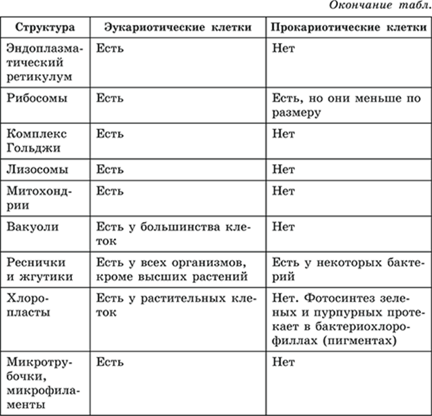 Общий план строения прокариотической и эукариотической клетки