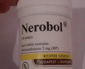 Нероболил