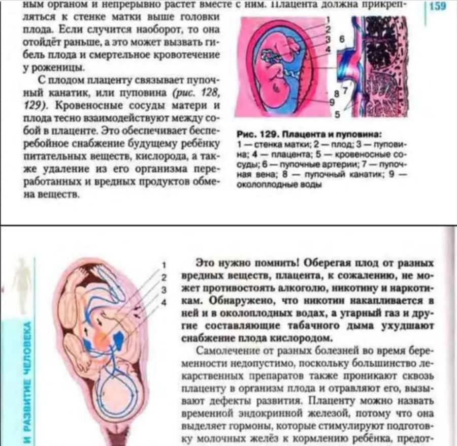 Точки от токсикоза с картинками