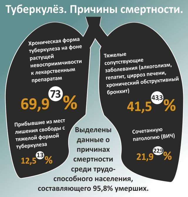 при лечении туберкулеза можно употреблять алкоголь