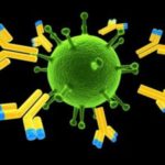 Что это значит, если обнаружены антитела к гепатиту C?