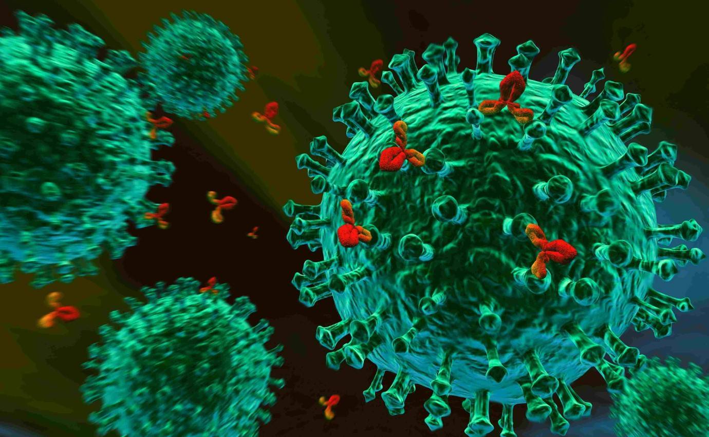 Может ли быть маркеры антител на гепатит thumbnail