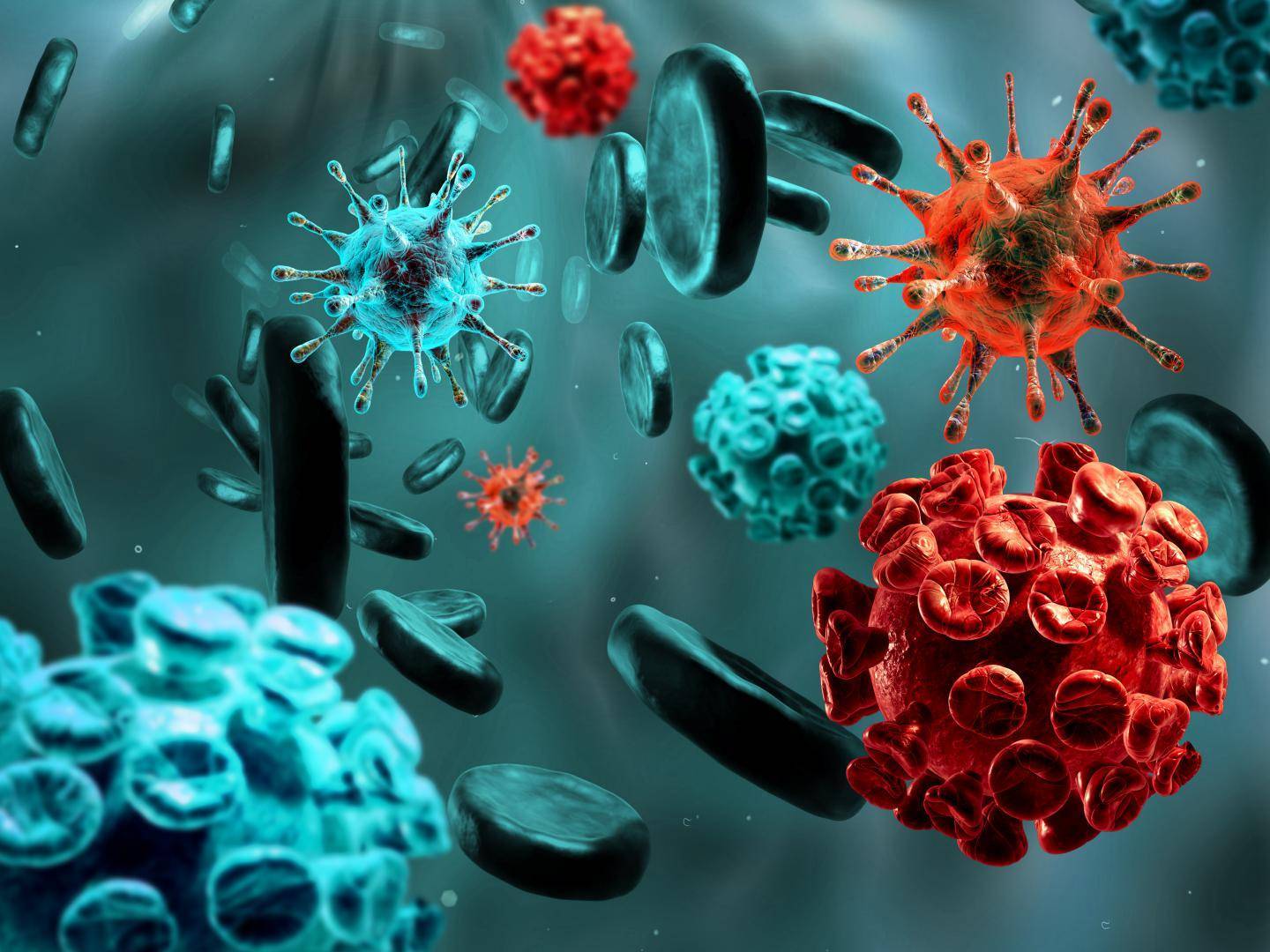 Профилактика вирусного гепатита в тестовые задания thumbnail