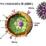 Количественный анализ на гепатит B