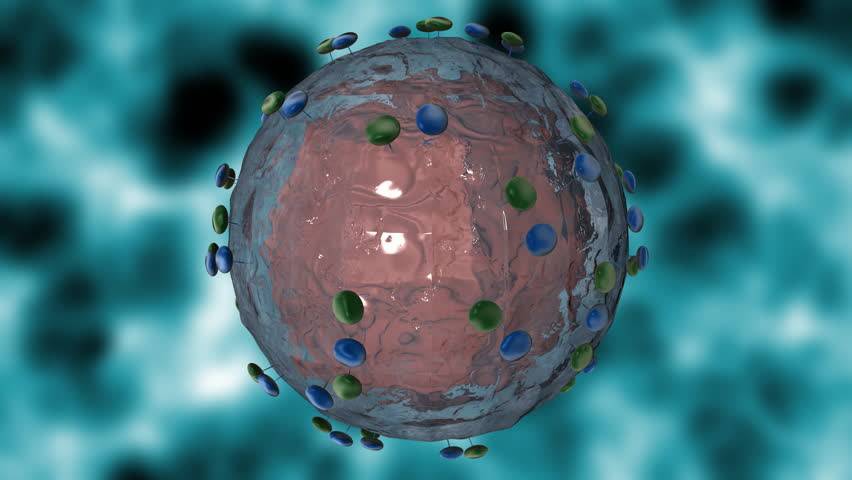 Сколько вирус гепатита C живет во внешней среде и как им можно заразиться?