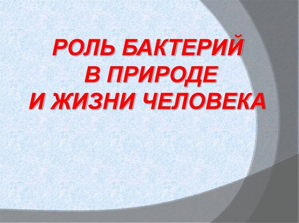 В чем заключается значение бактерий в природе. 310cf755c754d009bb6d6bdbe2368f05. В чем заключается значение бактерий в природе фото. В чем заключается значение бактерий в природе-310cf755c754d009bb6d6bdbe2368f05. картинка В чем заключается значение бактерий в природе. картинка 310cf755c754d009bb6d6bdbe2368f05