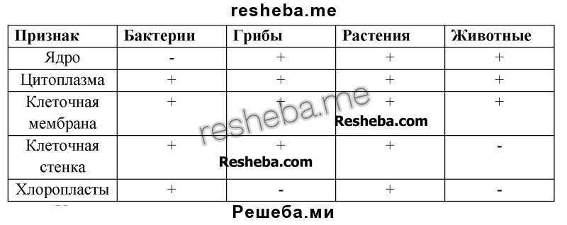 Таблица бактерии грибы растения. Клеточная мембрана растения животные грибы. Плазматическая мембрана у бактерий растений грибов животных. Клеточная мембрана у бактерий растений грибов и животных. Признак бактерии растения животные грибы клеточная оболочка.