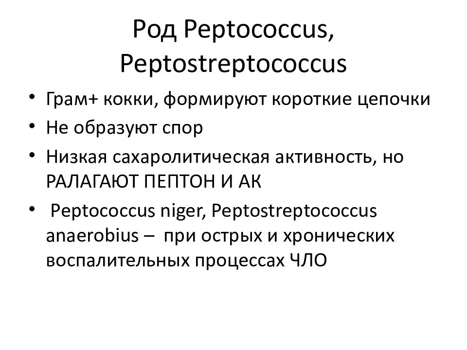 Пептострептококки. Род Peptococcus. Анаэробные пептострептококки. Peptostreptococcus anaerobius по Граму.