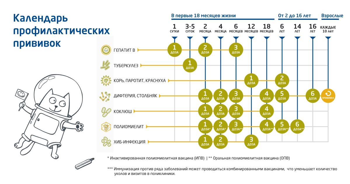 Прививки до года: график вакцинации / mama66.ru