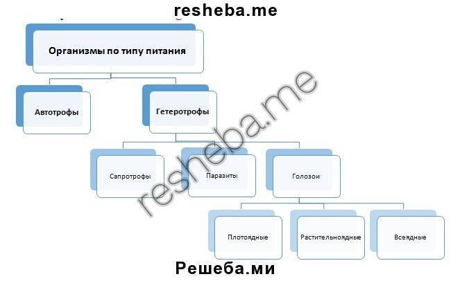 Бактерии автотрофы характеризуются тем что. 35260a944607e4b69d90cc071a1071ac. Бактерии автотрофы характеризуются тем что фото. Бактерии автотрофы характеризуются тем что-35260a944607e4b69d90cc071a1071ac. картинка Бактерии автотрофы характеризуются тем что. картинка 35260a944607e4b69d90cc071a1071ac.