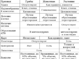 В чем заключается принципиальное различие клеток живых организмов. 3528afdc28e95600516a3cbf6aea2b1c. В чем заключается принципиальное различие клеток живых организмов фото. В чем заключается принципиальное различие клеток живых организмов-3528afdc28e95600516a3cbf6aea2b1c. картинка В чем заключается принципиальное различие клеток живых организмов. картинка 3528afdc28e95600516a3cbf6aea2b1c