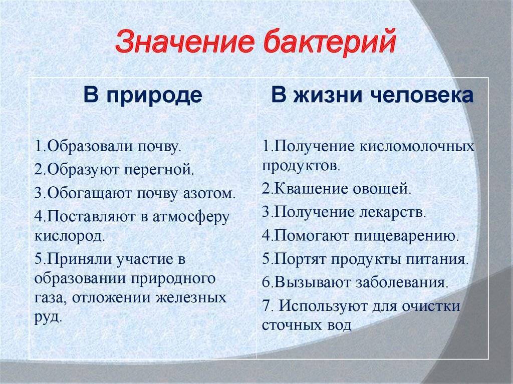 Биология значение бактерий. Значение бактерий в природе и жизни человека 5 класс биология схема. Значение бактерий в жизни человека 5 класс биология. Значение бактерий в природе и жизни человека 5 класс биология. Значение бактерий для человека.