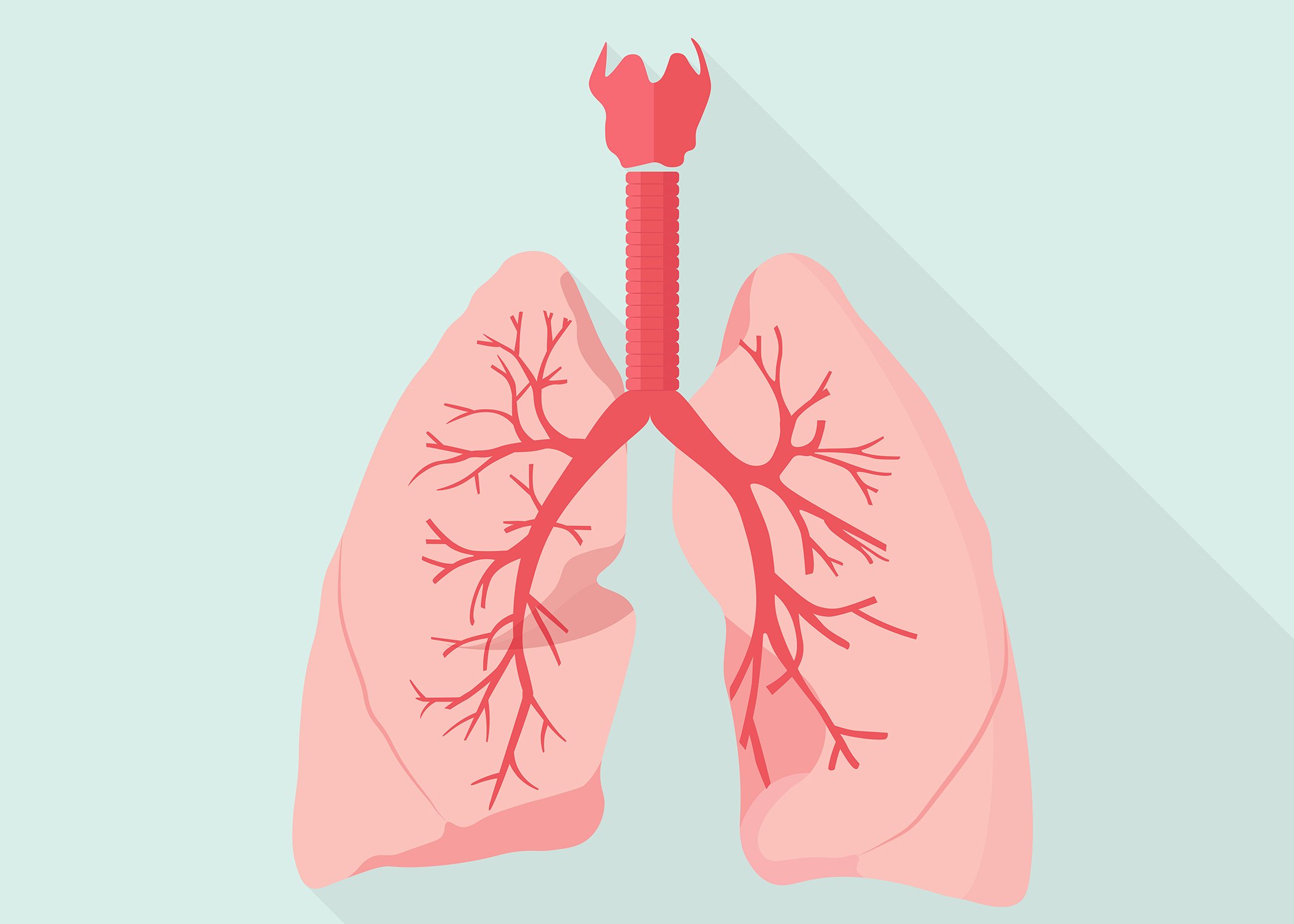 Пневмония при туберкулезе легких: особенности проявления, лечение и прогноз