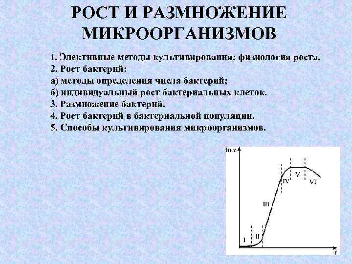 Размножение бактерий происходит по определенному плану