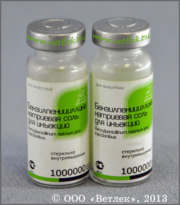 Бензилпенициллина новокаиновая соль : инструкция по применению