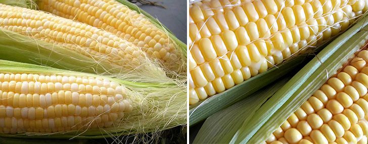 Каша кукурузная при похудении. полезна ли кукурузная каша при похудении?
