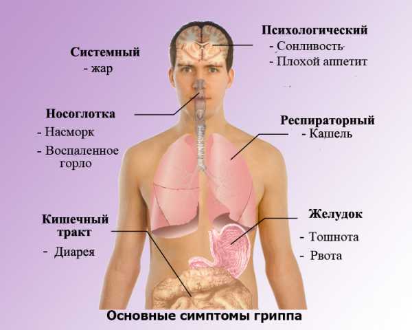 В носоглотке скапливается слизь чем лечить. Смотреть фото В носоглотке скапливается слизь чем лечить. Смотреть картинку В носоглотке скапливается слизь чем лечить. Картинка про В носоглотке скапливается слизь чем лечить. Фото В носоглотке скапливается слизь чем лечить