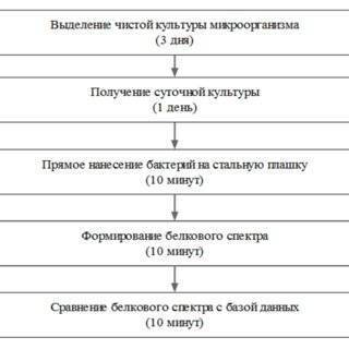 Схема выделения чистой культуры по дням