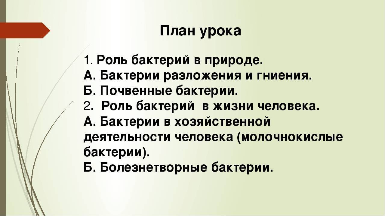 Составьте план ответа на тему роль бактерий на земле