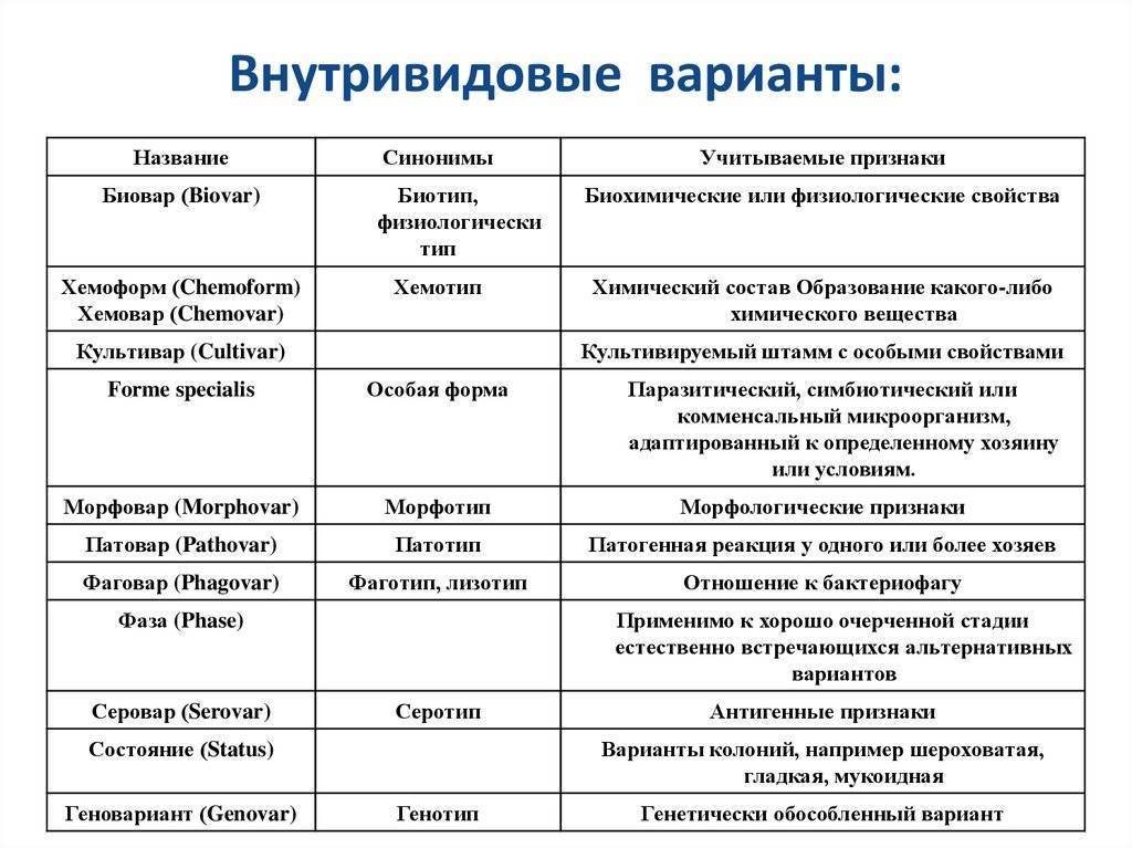 Вид чистая культура штамм клон