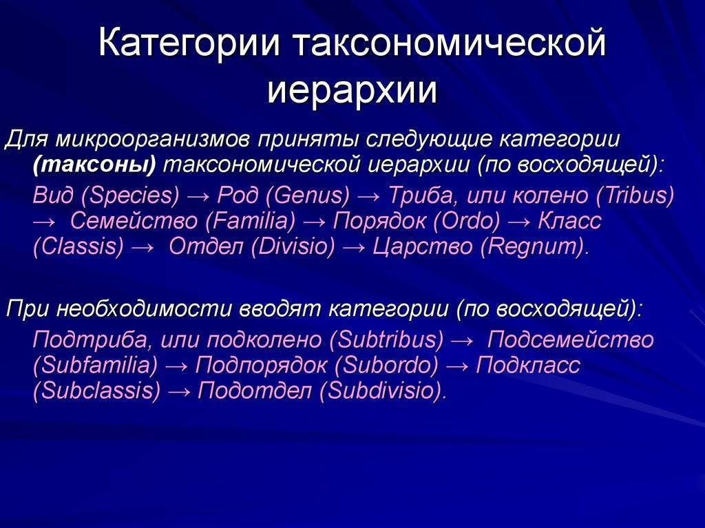 Таксономические категории микроорганизмов схема