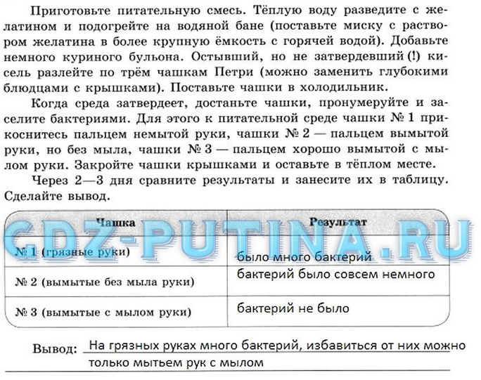 В чем заключается значение бактерий в природе. 3ce99952cfe590e06dc1d58c8ba56915. В чем заключается значение бактерий в природе фото. В чем заключается значение бактерий в природе-3ce99952cfe590e06dc1d58c8ba56915. картинка В чем заключается значение бактерий в природе. картинка 3ce99952cfe590e06dc1d58c8ba56915