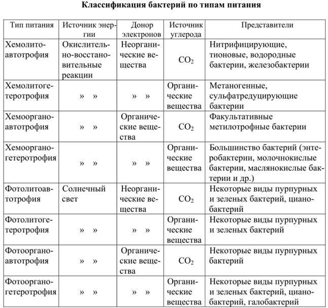 Питание бактерий схема