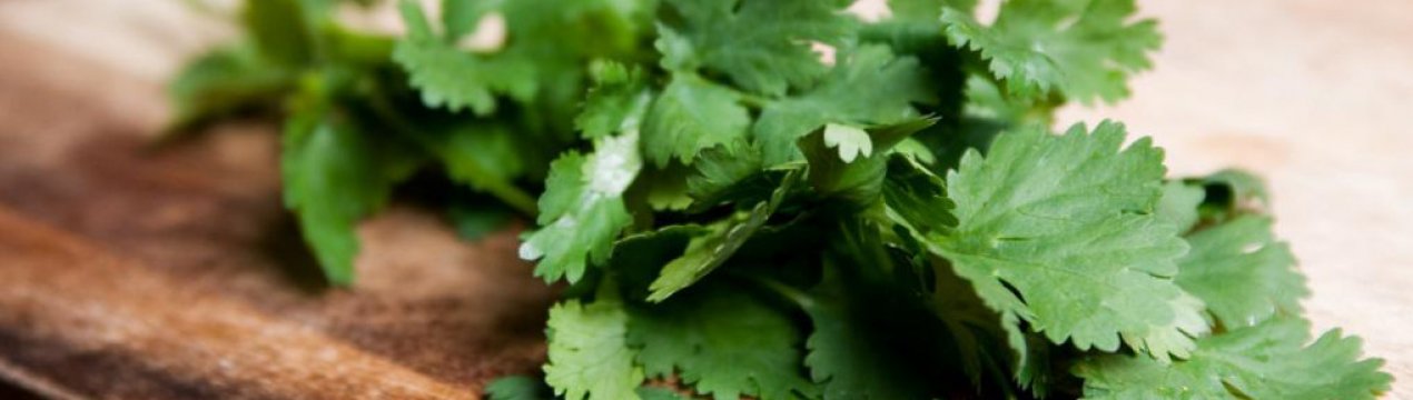 Листья салата для похудения для быстрого и эффективного похудения на your-diet.ru. | здоровое питание, снижение веса, эффективные диеты