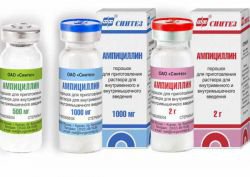 Инструкция по применению ампициллин в таблетках + аналоги + отзывы