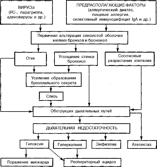 Патогенез пневмонии схема