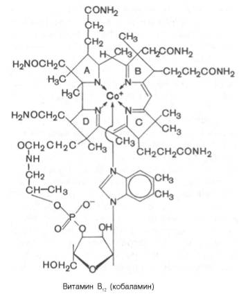 Витамин в12. применение, для чено нужен. что такое цианокобаламин.