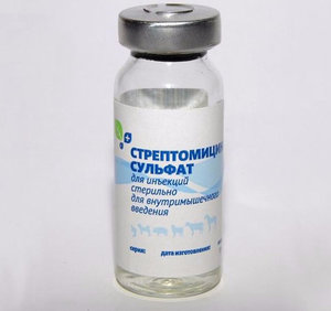 Стрептомицин – инструкция по применению антибиотика, цена, аналоги
