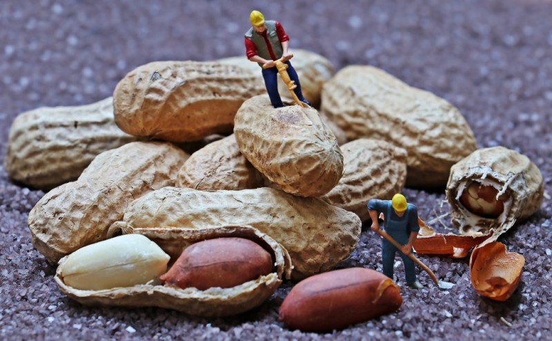 Почему орехи нужно есть каждый день: новое открытие ученых