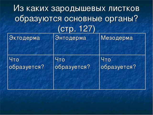 Близнецы чудо жизни проект по биологии 9 класс