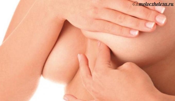 Грудь во время беременности… молозиво