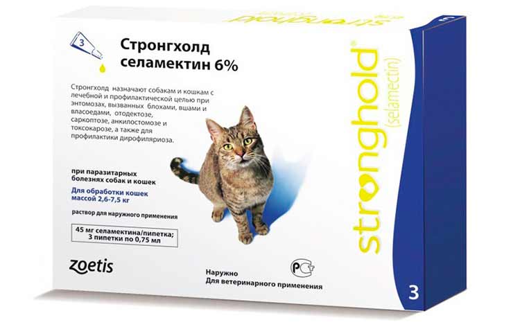 Стронгхолд для кошек — отзывы ветеринаров и владельцев