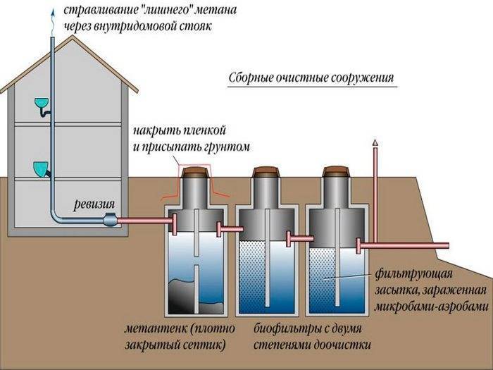 Царство архебактерии - archaebacteria