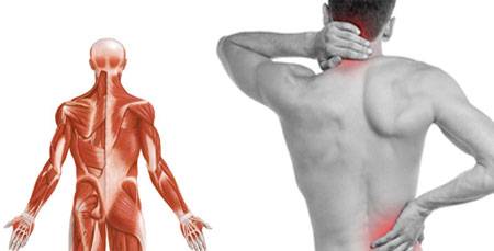 Миозит спины. лучшие способы вылечить миозит любых мышц спины