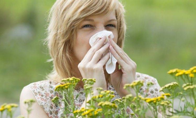 Какие комнатные цветы вызывают аллергию. аллергия на герань: симптомы и проявление